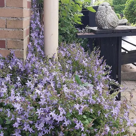 De Molshoop Ii 4* Landsmeer