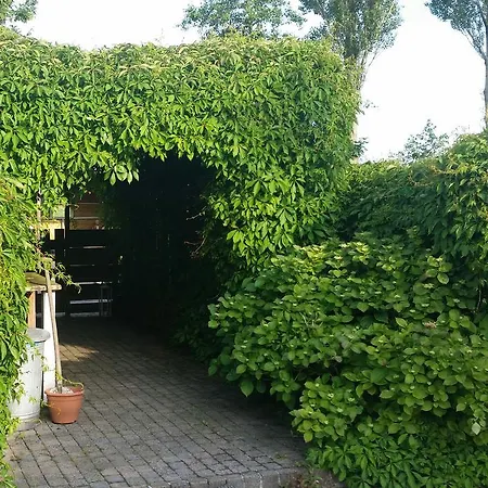 招待所 De Molshoop Ii