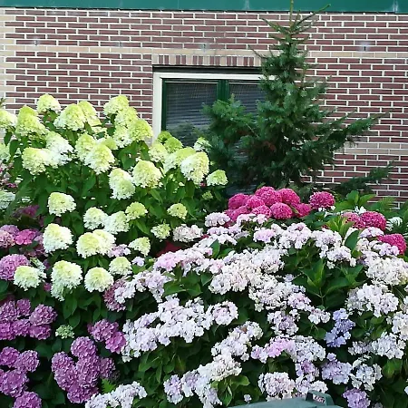 招待所 De Molshoop Ii Landsmeer