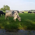 De Molshoop Ii