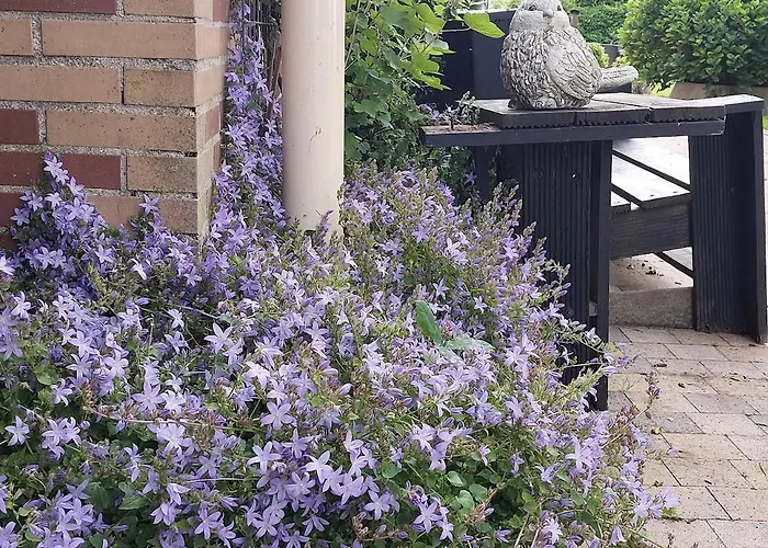 De Molshoop Ii 4* Landsmeer