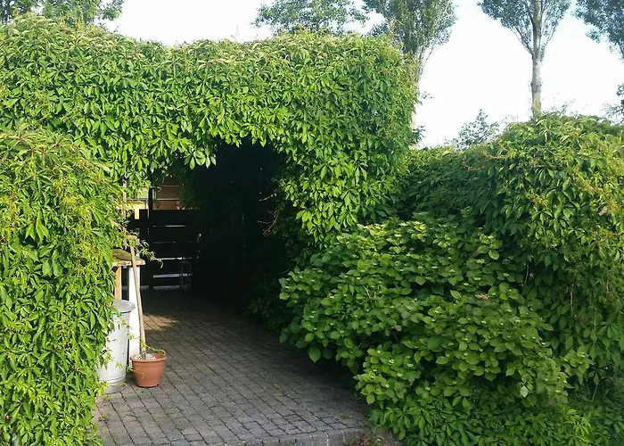 Gasthuis De Molshoop Ii